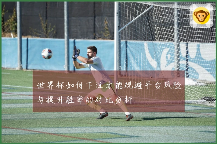 世界杯如何下注才能规避平台风险与提升胜率的对比分析