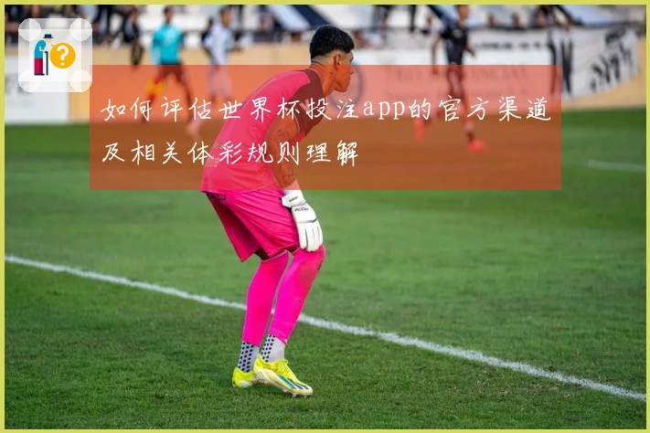 如何评估世界杯投注app的官方渠道及相关体彩规则理解